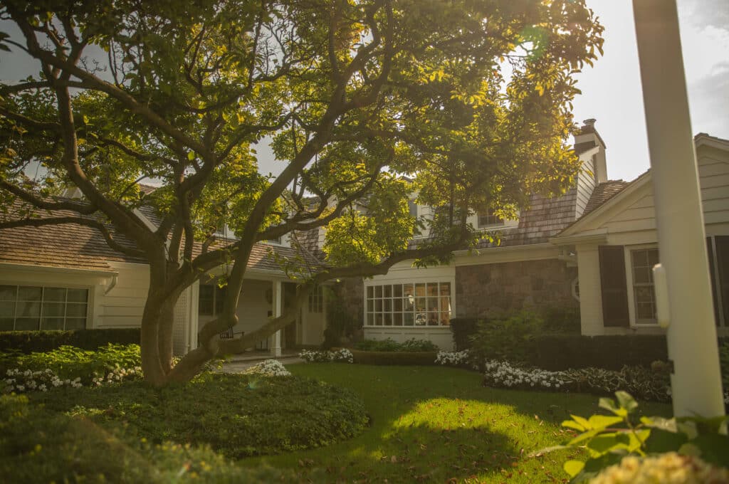 Lawn Mowing and Maintenance in Burlington